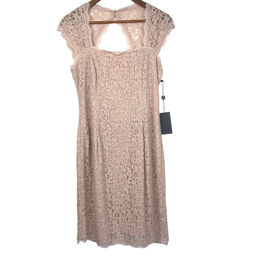 Adrianna Papell Blush Lace Cap-Sleeve Sheath Dress